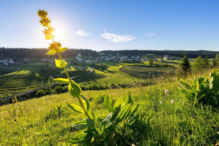 Vacances dans le Jura - La chèvrerie Pampilles & Compagnie