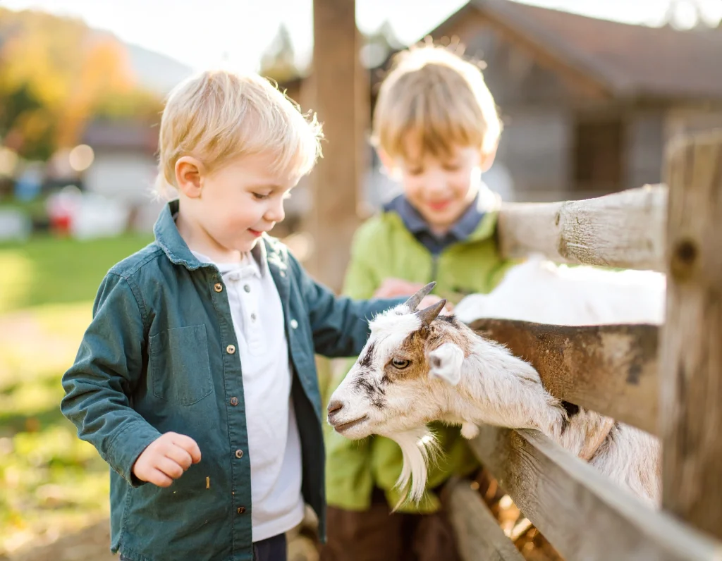 Groupe d’enfants découvrant les chèvres lors d’une visite éducative à la ferme Pampilles & Compagnie dans le Jura
