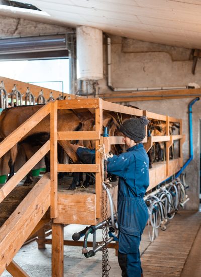 Notre équipe à la ferme jura