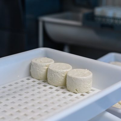 Chèvrerie Pampilles & Compagnie