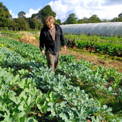 Jean – Les bons légumes
