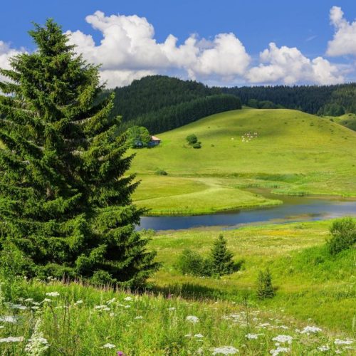 Vacances dans le Jura - La chèvrerie Pampilles & Compagnie