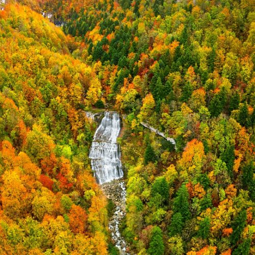 Vacances dans le Jura - La chèvrerie Pampilles & Compagnie