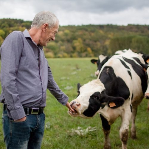 René – La ferme des clairières